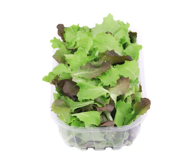 Mix salad in box. — Stock Photo, Image