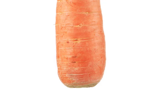Cenoura fresca . — Fotografia de Stock