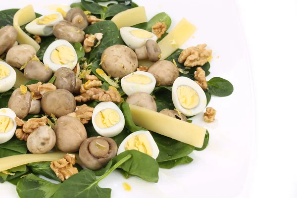 Mushroom salad with walnuts and parmesan. — Stock Photo, Image