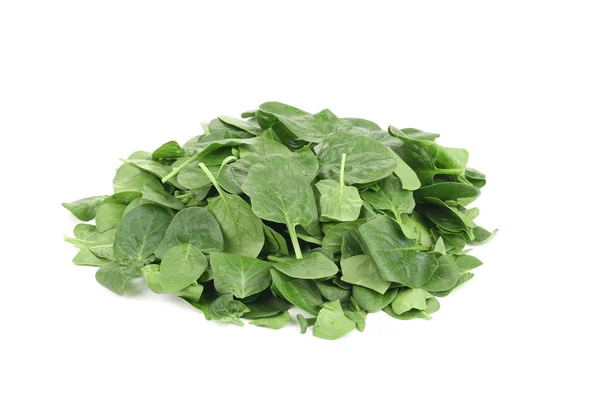 Heap of fresh spinach. — Stock Photo, Image