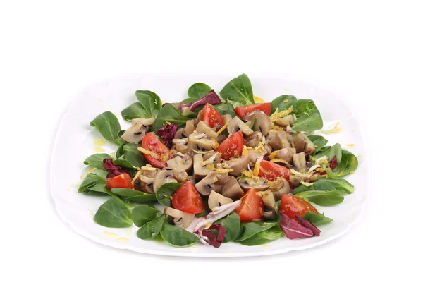 Mushroom salad with walnuts and tomatoes. — Stock Photo, Image