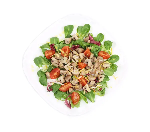 Mushroom salad with walnuts and tomatoes. — Stock Photo, Image