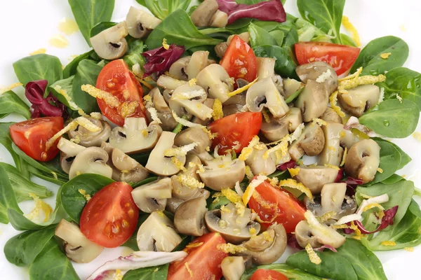Mushroom salad with walnuts and tomatoes. — Stock Photo, Image