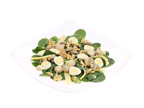 Mushroom Salade met walnoten en Parmezaanse kaas. — Stockfoto