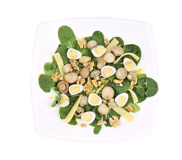 Mushroom Salade met walnoten en Parmezaanse kaas. — Stockfoto