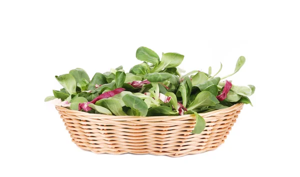 Spinach and radicchio rosso mix on wicker basket. — Stock Photo, Image