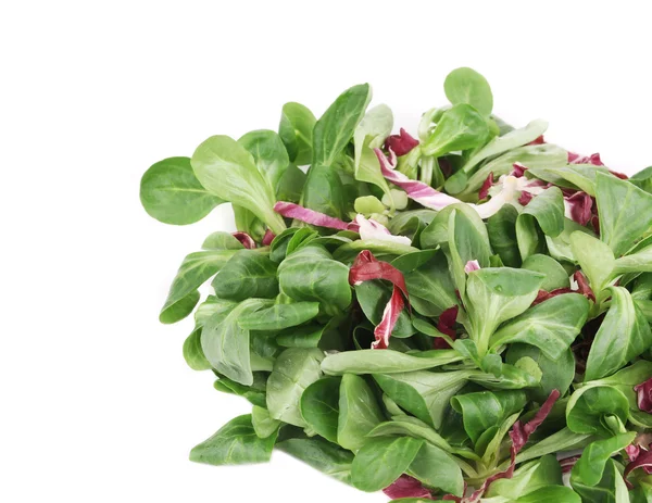 Spinach and radicchio rosso mix. — Stock Photo, Image