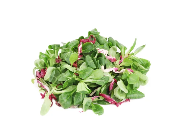 Spinach and radicchio rosso mix. — Stock Photo, Image