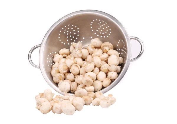 Logam colander dengan Champignon segar jamur . — Stok Foto