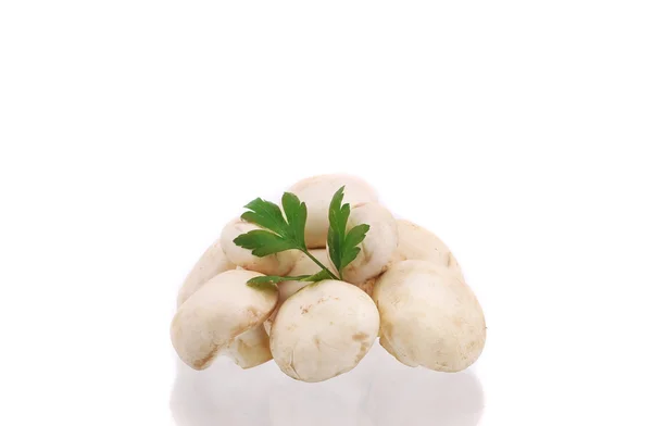 Fresh champignon mushrooms. — Stock Photo, Image