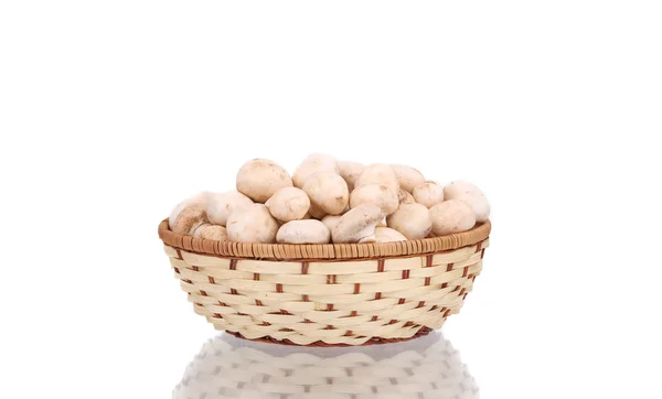 Wicker basket with champignon mushrooms. — Stock Photo, Image