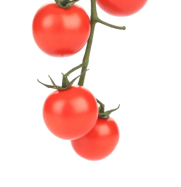 Sabrosos tomates-cereza . — Foto de Stock