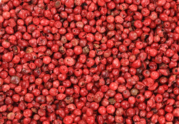 Red hot peppercorn closeup. — Stock Photo, Image