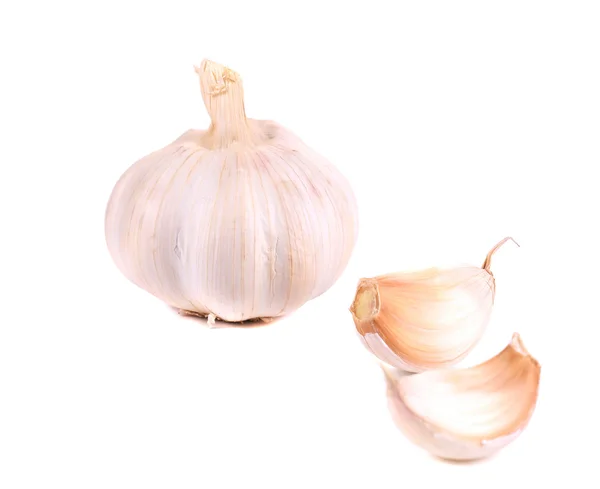 Head of garlic. — Stock Photo, Image