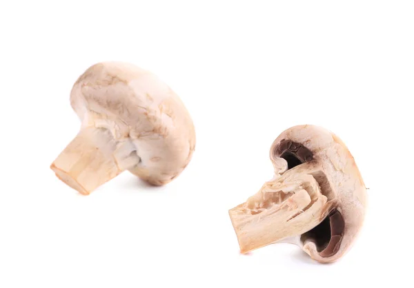 Fresh champignon mushrooms. — Stock Photo, Image