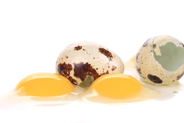 Разбитые перепелиные яйца . — стоковое фото