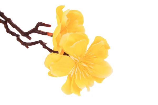Güzel sarı yapay çiçekler. — Stok fotoğraf