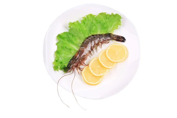 Raw shrimp with lemon. — Stock Photo, Image