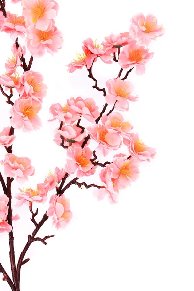 Branch of gentle pink artificial flowers. — Stock Photo, Image