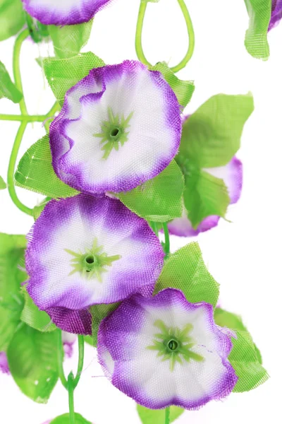 Inschrijving kunstbloemen. — Stockfoto