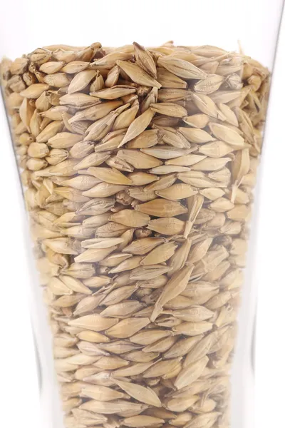 Glass full of wheat. — Stock Photo, Image