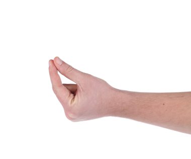 bir şey tutan erkek eli.