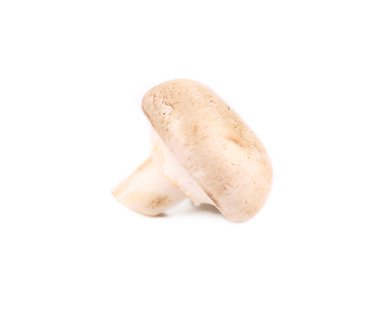 champignon mantarı.