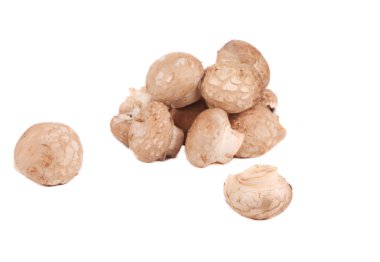 demet champignon mantar.