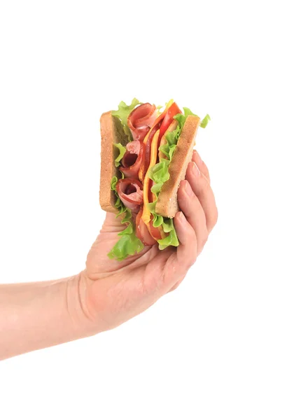 Hand holding tasty sandwich. — Stock Photo, Image