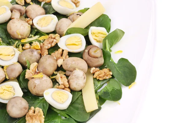 Mushroom salad with quail eggs. — Stock Photo, Image