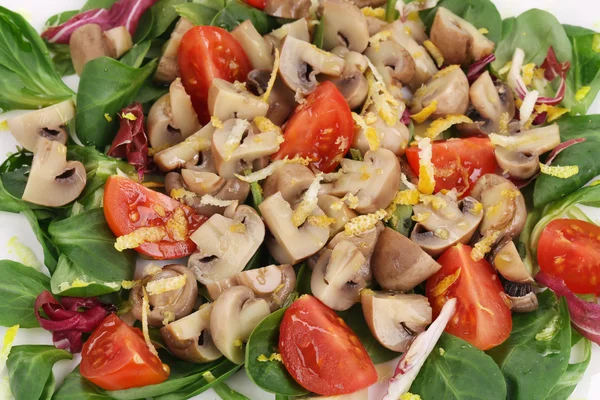 Salada de cogumelos com tomates . — Fotografia de Stock
