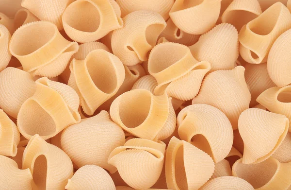 Uncooked delicious italian pasta lumaconi. — Stock Photo, Image