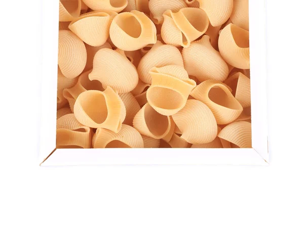 Uncooked italian pasta lumaconi. — Stock Photo, Image
