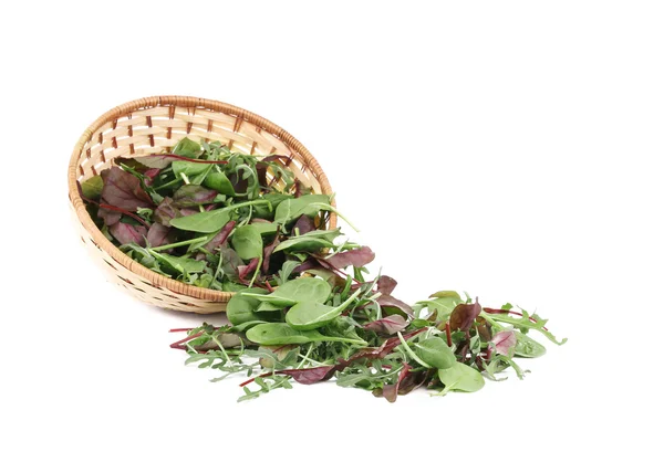 Herbs mix in a basket. — Stock Photo, Image