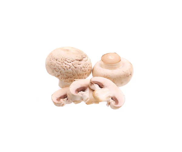 Cogumelos de champignon-marrom. — Fotografia de Stock