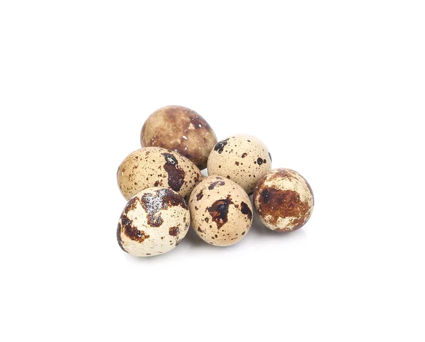 Close up of quail eggs. — Stock Photo, Image