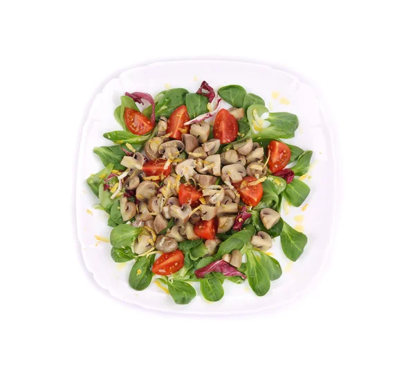 Salada de cogumelos . — Fotografia de Stock