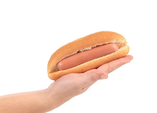 Hot dog s klobása roll v ruce. — Stock fotografie