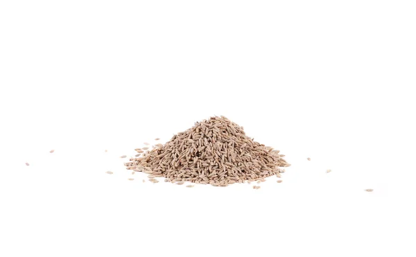 Mucchio di semi di cumino catturati da un lato . — Foto Stock