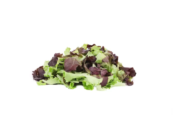 Bunch of green and red leaf of lettuce. — Stock Photo, Image