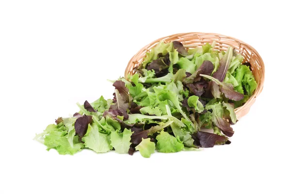 Cesta de mimbre con hojas de lechuga . — Foto de Stock