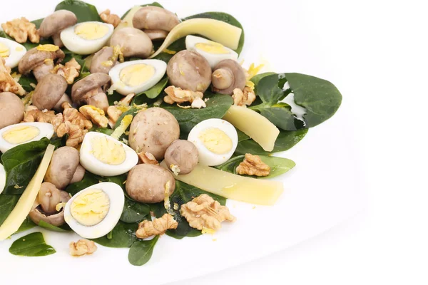 Mushroom salad. — Stock Photo, Image