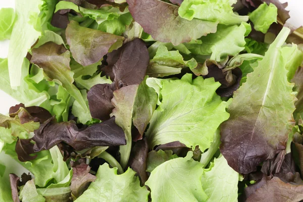 Green and red leaf of lettuce close up. — Stock Photo, Image