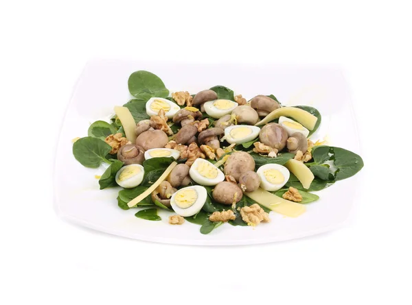 Mushroom salad. — Stock Photo, Image