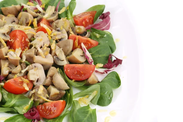 Close up of mushroom salad. — Stock Photo, Image