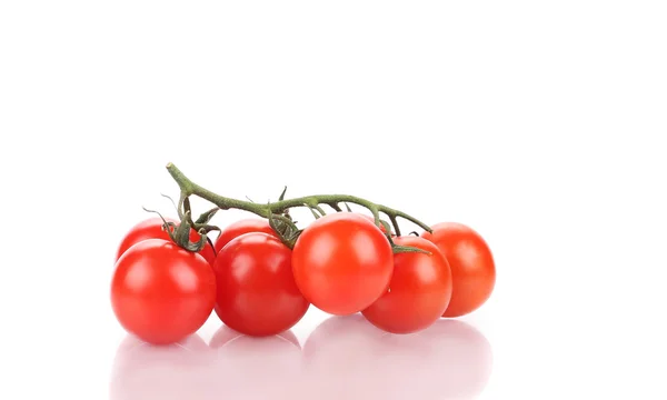 Primo piano di pomodori freschi. — Foto Stock