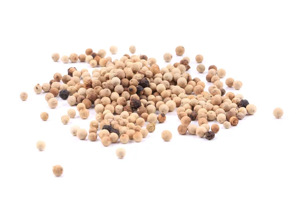 Close up of white pepper. — Stock Photo, Image