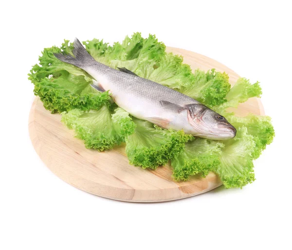 Fresh seabass fish on lettuce. — Stock Photo, Image