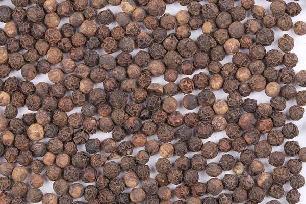 Close up of black pepper. — Stock Photo, Image