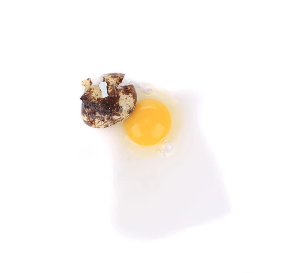 Zlomené křepelčí vejce. — Stock fotografie